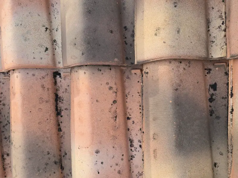 Tache-coulure-facade